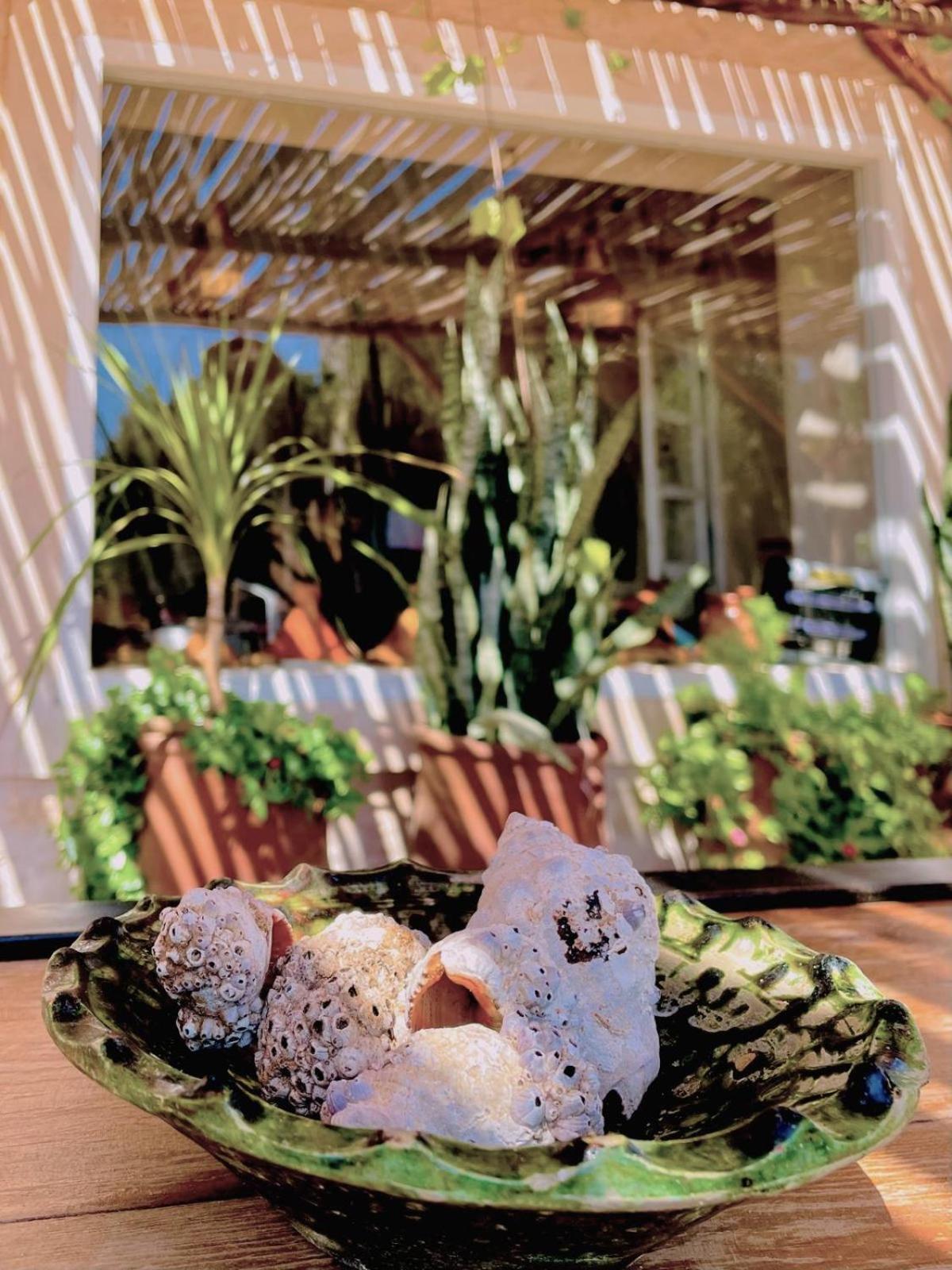 Riad Sabidi Essaouira Exteriör bild