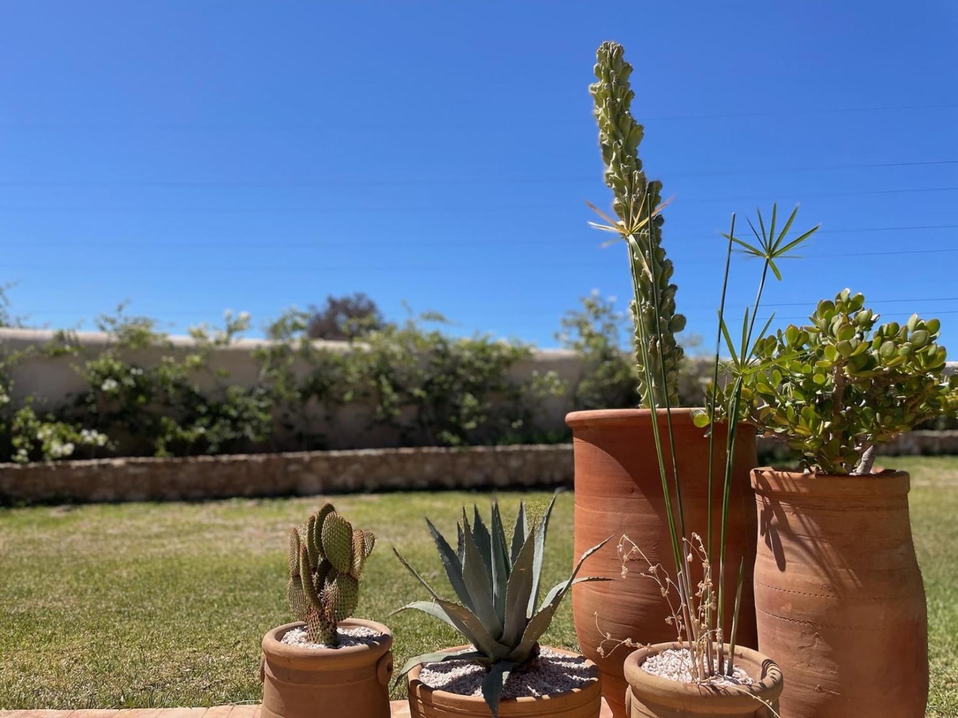 Riad Sabidi Essaouira Exteriör bild